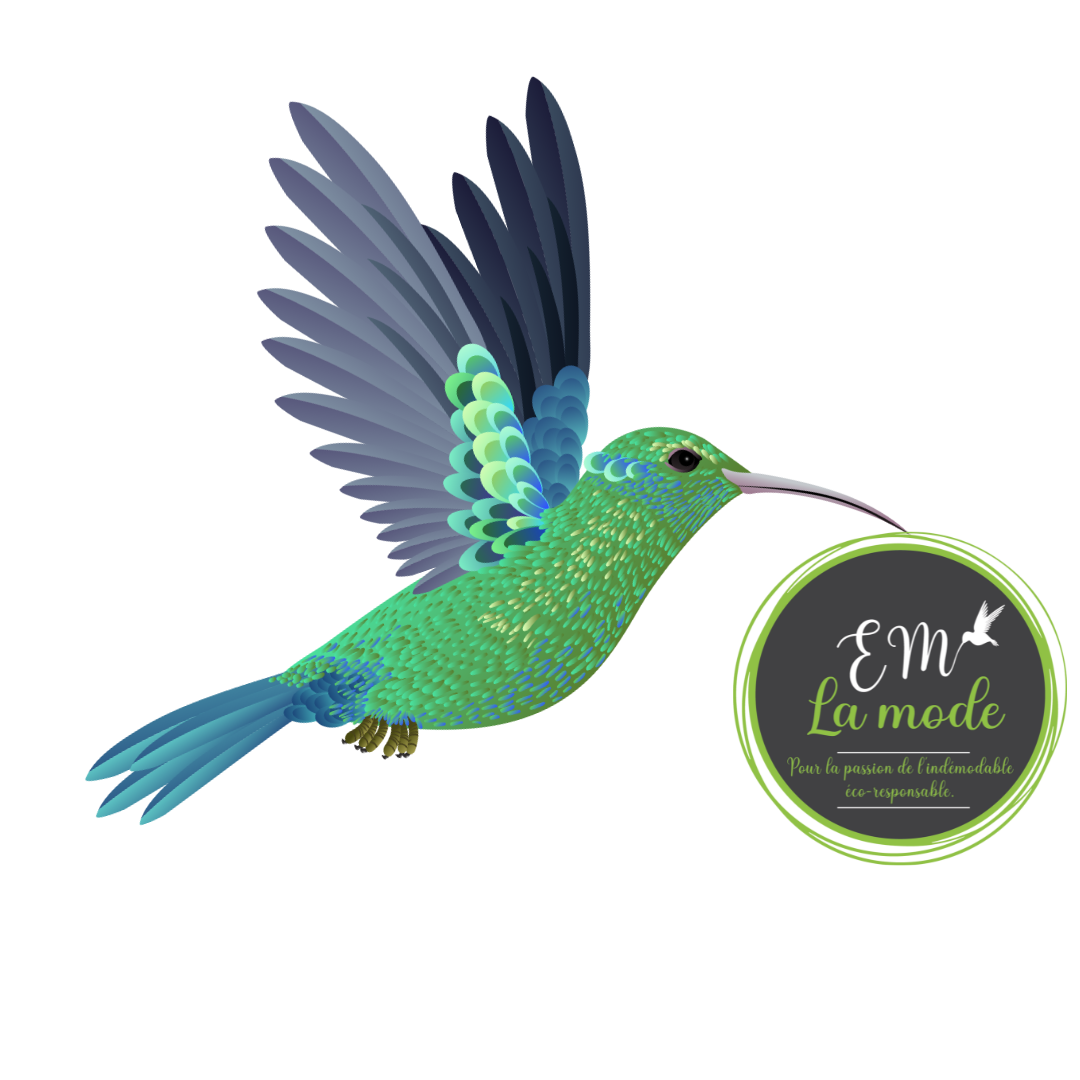 L'histoire du colibri