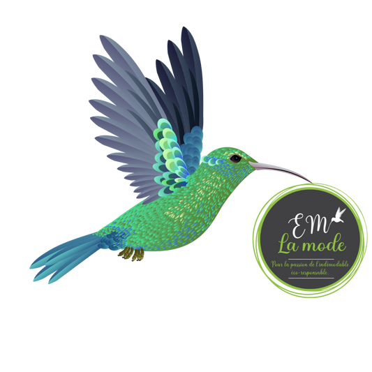 L'histoire du colibri